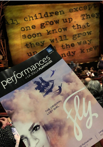 Fly Performance